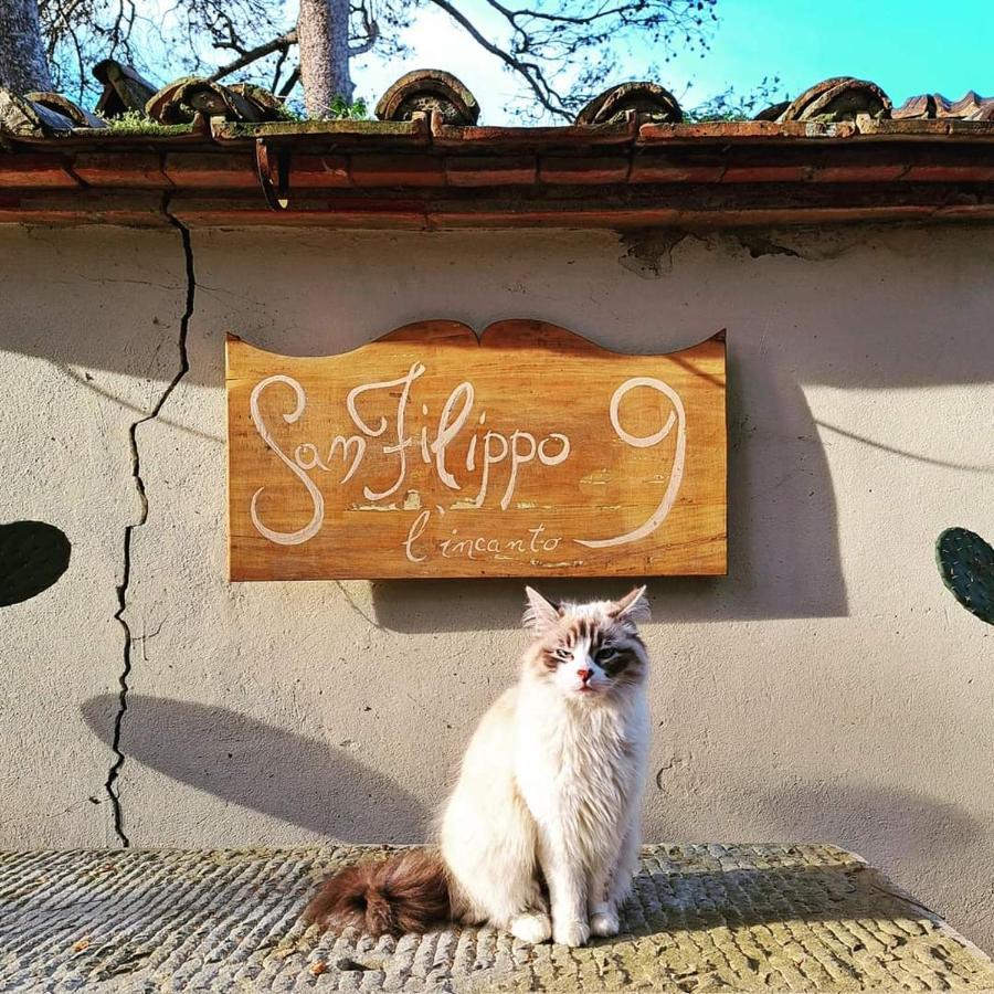 Villa San Filippo Arezzo Kültér fotó